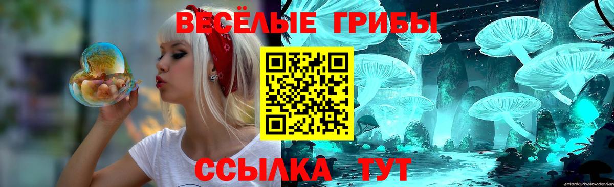 Ступино  Галлюциногенные грибы GOLDEN TEACHER  Вход с VPN 