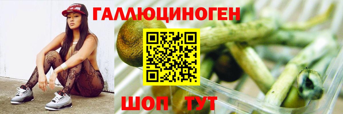 Псилоцибиновые грибы Psilocybe Ступино
